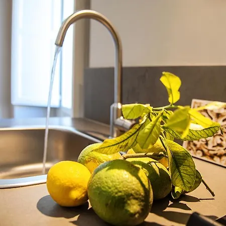 Kalote' On The Roof *